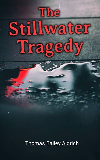 The Stillwater Tragedy: Murder Mystery Novel