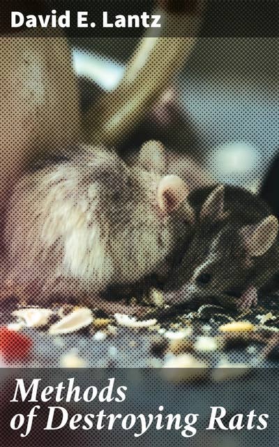 Methods of Destroying Rats: A Comprehensive Guide to Effective Rat Eradication Techniques