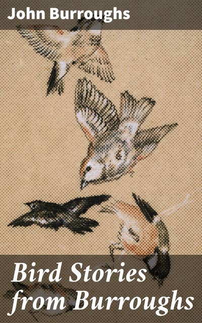 Bird Stories from Burroughs: Sketches of Bird Life Taken from the Works of John Burroughs