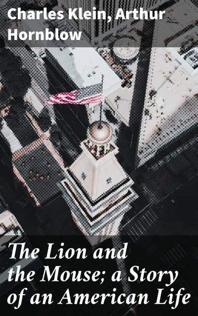 The Lion and the Mouse; a Story of an American Life: Exploring the Tapestries of American Society
