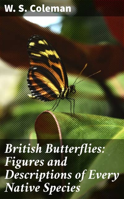 British Butterflies: Figures and Descriptions of Every Native Species: A Comprehensive Guide to British Butterfly Species and Habitats