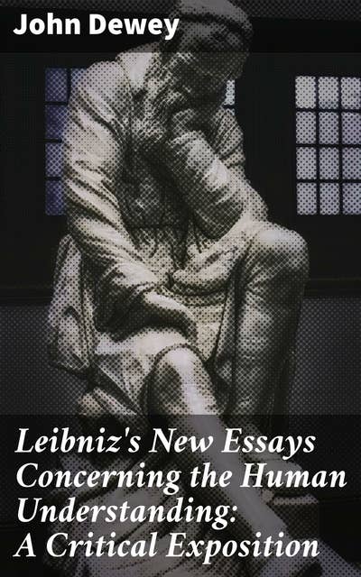 Leibniz's New Essays Concerning the Human Understanding: A Critical Exposition