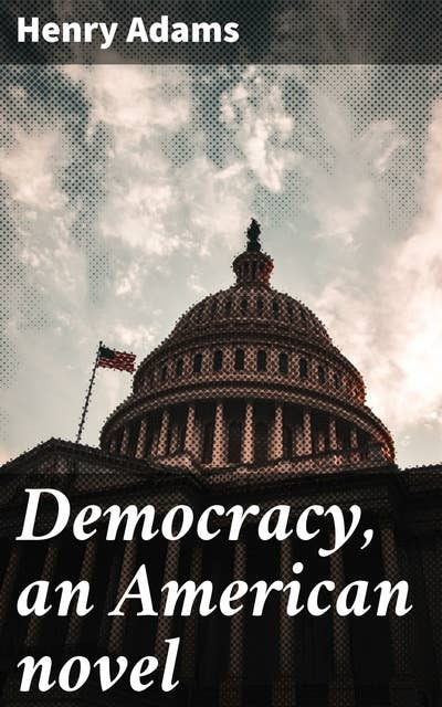 Democracy, an American novel: A Thought-Provoking Exploration of American Democracy and Society