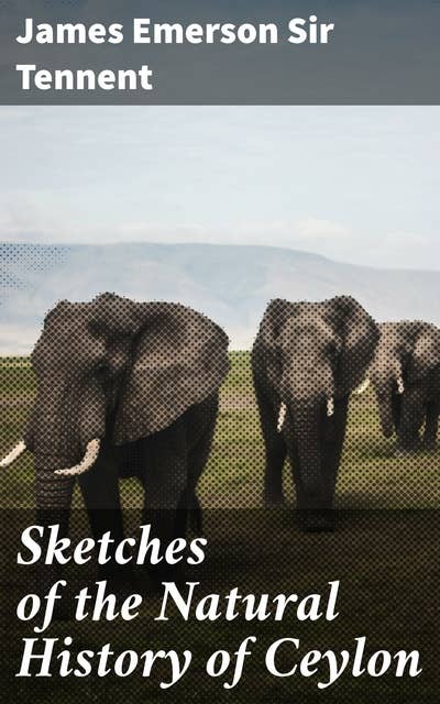 Sketches of the Natural History of Ceylon: Exploring the Exotic Wildlife and Ecosystems of Ceylon