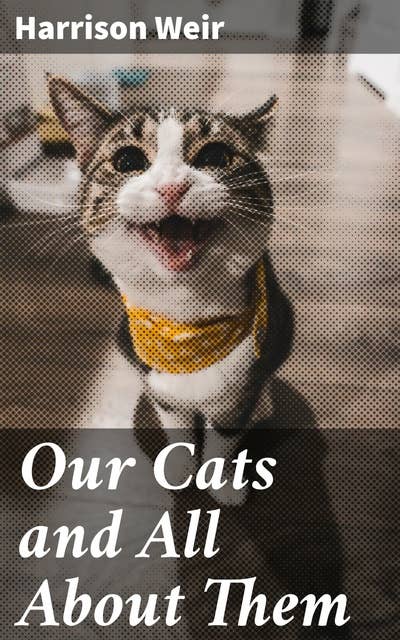 Our cats and hot sale all about them