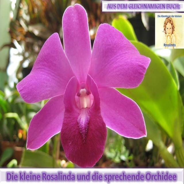 Rosalinda und die sprechende Orchidee: Aus dem gleichnamigen Buch: Die Abenteuer der kleinen Rosalinda