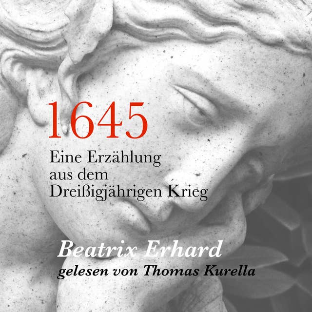 1645: Eine Erzählung aus dem Dreißigjährigen Krieg