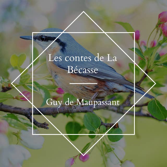 Les contes de La Bécasse by Guy de Maupassant