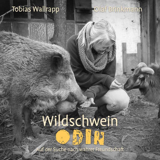 Wildschwein Odin: Auf der Suche nach wahrer Freundschaft