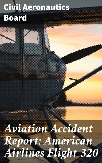 Aviation Accident Report: American Airlines Flight 320: In-depth analysis of Flight 320 tragedy and aviation safety standards