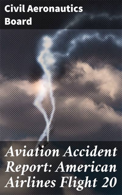 Aviation Accident Report: American Airlines Flight 20: Understanding the Investigation Process of Airline Disasters
