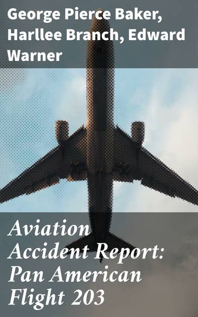 Aviation Accident Report: Pan American Flight 203: Exploring Aviation Safety Through Tragic Failures