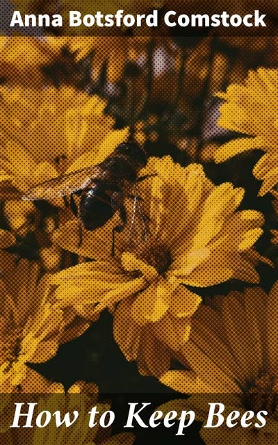 How to Keep Bees: A Comprehensive Guide to Beekeeping: Techniques, Tips, and the Beauty of the Beekeeping World