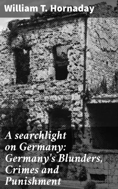 A searchlight on Germany: Germany's Blunders, Crimes and Punishment