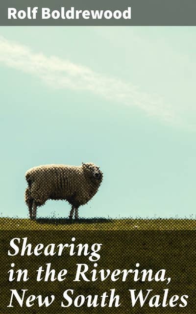 Shearing in the Riverina, New South Wales