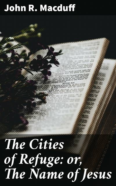 The Cities of Refuge: or, The Name of Jesus: A Sunday book for the young