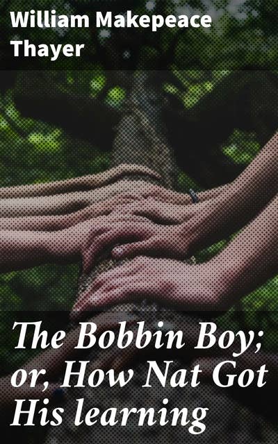 The Bobbin Boy; or, How Nat Got His learning: A Tale of Determination and Education in Industrial America
