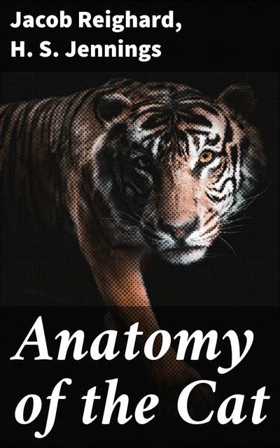 Anatomy of the Cat: Exploring the Feline Essence: An Interdisciplinary Anthology