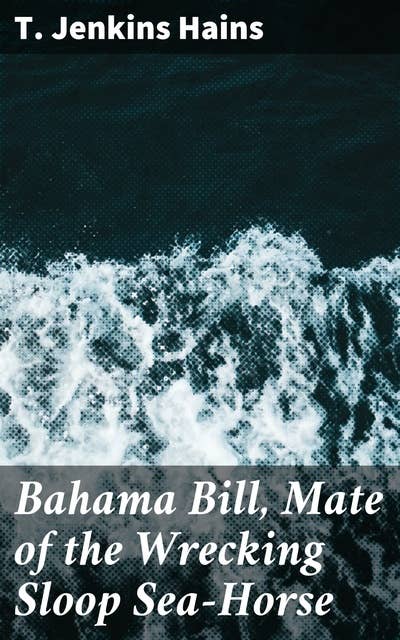 Bahama Bill, Mate of the Wrecking Sloop Sea-Horse: High Seas Adventures and Cultural Intrigue in the Bahamas