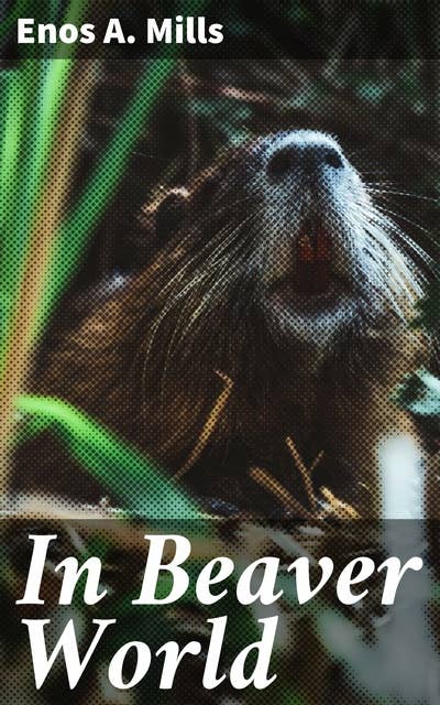 In Beaver World: Exploring the Eco-System of Nature's Engineers