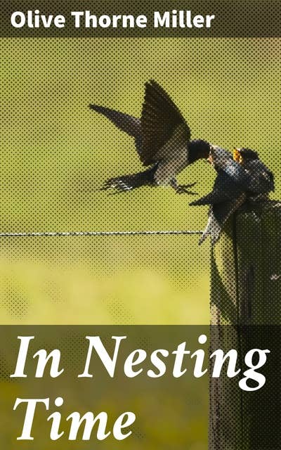 In Nesting Time
