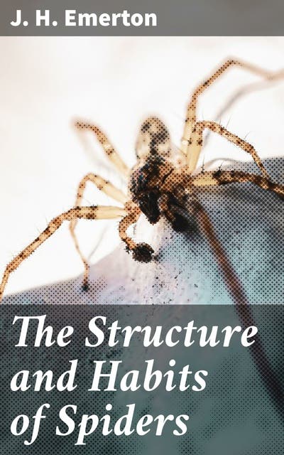 The Structure and Habits of Spiders: Unraveling the Mysteries of ...