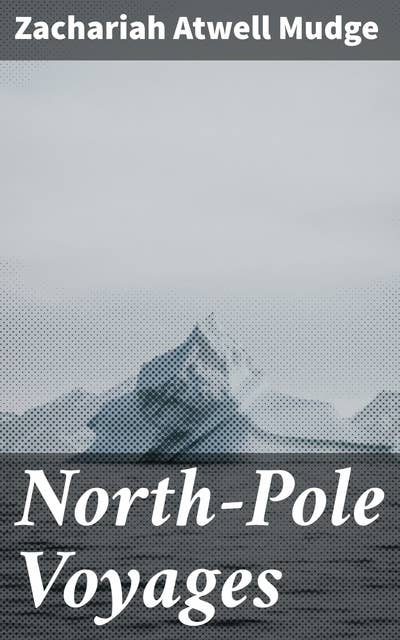 North-Pole Voyages: Embracing Sketches of the Important Facts and Incidents in the Latest American Efforts to Reach the North Pole, from the Second Grinnell Expedition to That of the Polaris