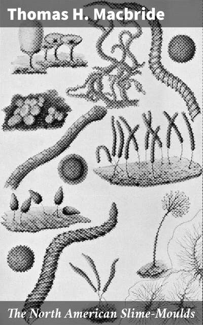 The North American Slime-Moulds: A Descriptive List of All Species of Myxomycetes Hitherto Reported from the Continent of North America, with Notes on Some Extra-Limital Species