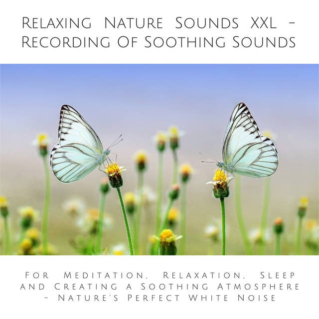 Relaxing Nature Sounds (without music) - Recording Of Soothing Nature Sounds: For Meditation, Relaxation, Sleep and Creating a Soothing Atmosphere - Nature's Perfect White Noise