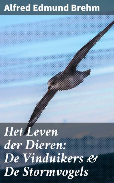 Het Leven der Dieren: De Vinduikers & De Stormvogels: Ontdek de geheimen van zeevogels en hun ongelooflijke levensverhalen