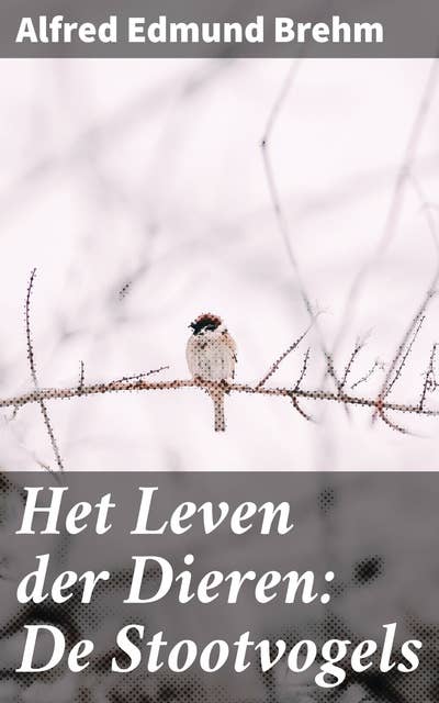 Het Leven der Dieren: De Stootvogels: Roofvogels: Jagers van de hemel en meesters van de lucht
