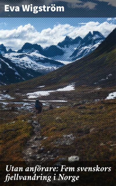 Utan anförare: Fem svenskors fjellvandring i Norge: En odödlig resa i gemenskap och natur
