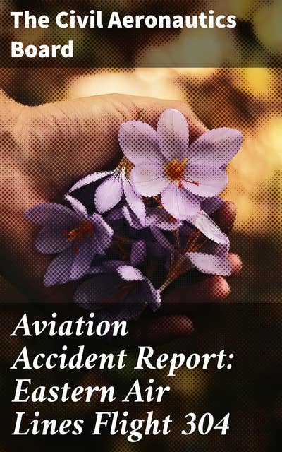 Aviation Accident Report: Eastern Air Lines Flight 304: Insights into Airline Safety and Accident Investigation