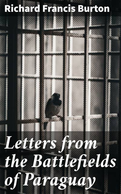 Letters from the Battlefields of Paraguay: A Chronicle of Paraguayan Conflict Through Letters
