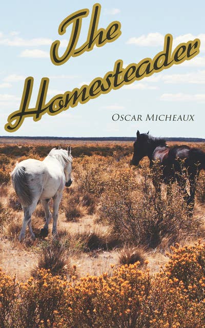The Homesteader: Western Novel