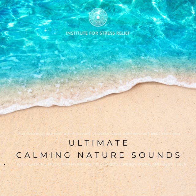 Meditação Yoga - Birdsong in the Wind MP3 Download & Lyrics