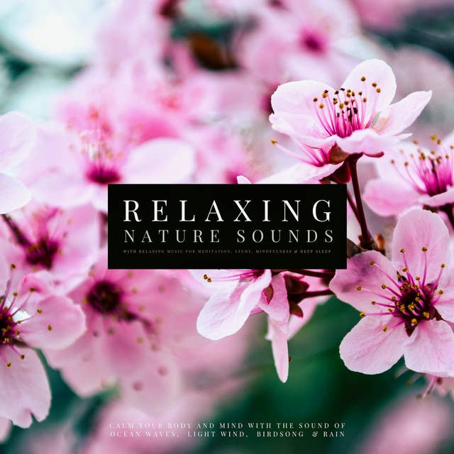 Calming Nature Sounds for Relaxation, Meditation, Deep Sleep with Music:  Stress Relief, Soothing New Age Sounds, Music to Calm Down, Singing Birds,  Ocean Waves, Forest Sounds, Relaxing Rain, Music for Healing 