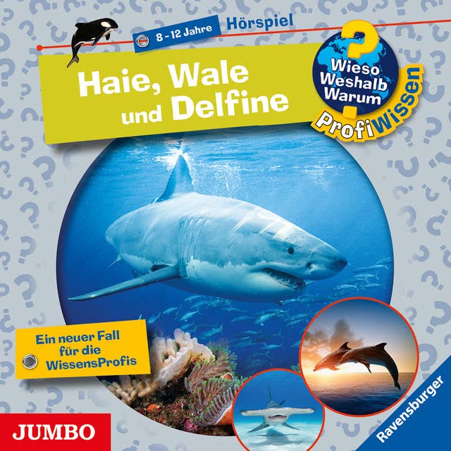 Haie, Wale und Delfine [Wieso? Weshalb? Warum? PROFIWISSEN Folge 24]