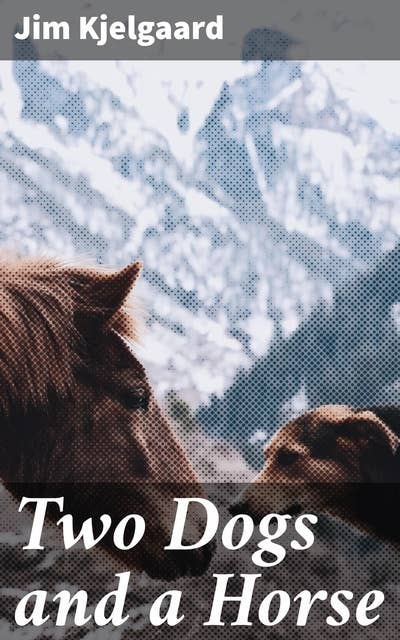 Two Dogs and a Horse: A Heartwarming Tale of Wild Friendship and Adventure