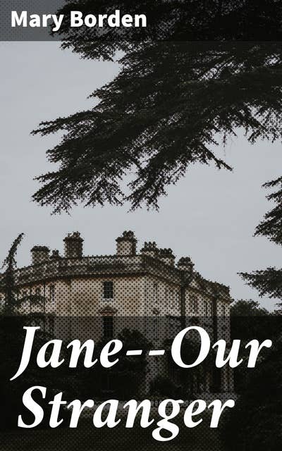 Jane--Our Stranger: A Novel