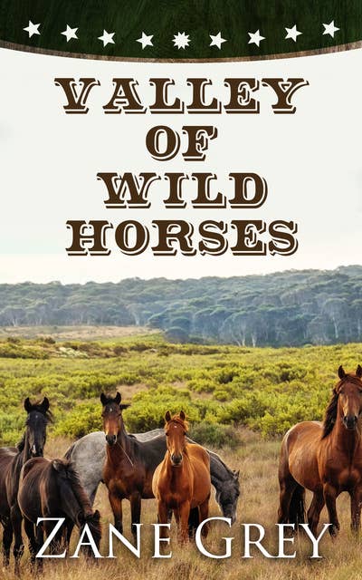 Valley of Wild Horses: Western Classic