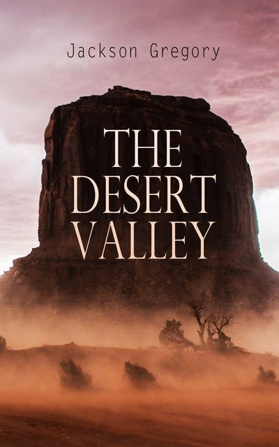 The Desert Valley: Western Novel