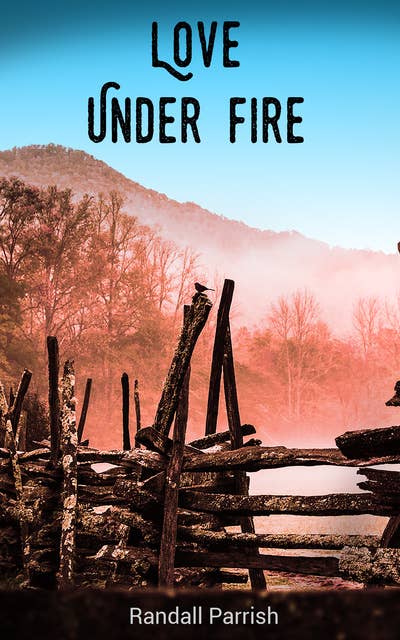 Love Under Fire: Civil War Novel