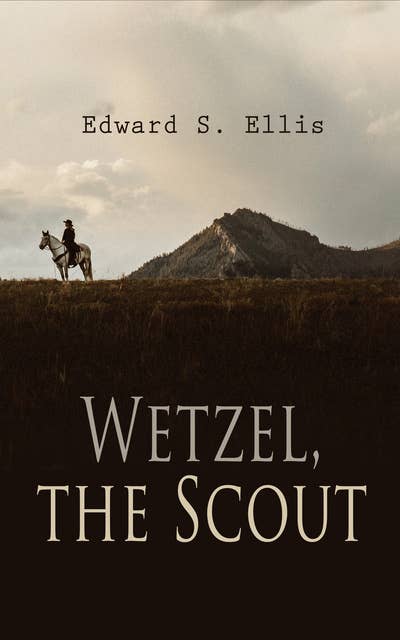 Wetzel, the Scout: Western Novel: The Captives of the Wilderness