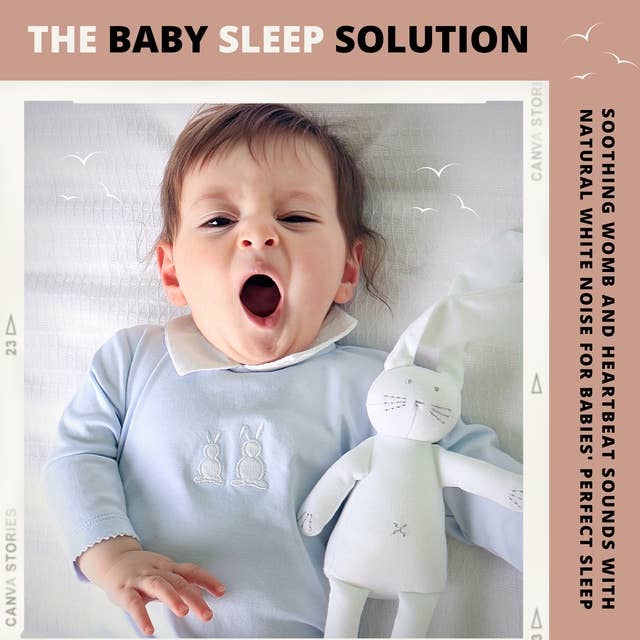 Baby Sleep Solution: Soothing Womb & Heartbeat Sounds With Natural White Noise For Babies' Perfect Sleep: Steady Sound Sleep Aid - Proven & Certified Concept - Update 2022 (Center for Children's Health)