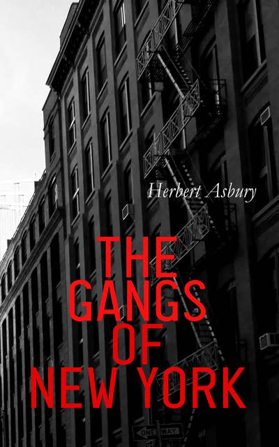 The Gangs of New York: Informal History of the Underworld