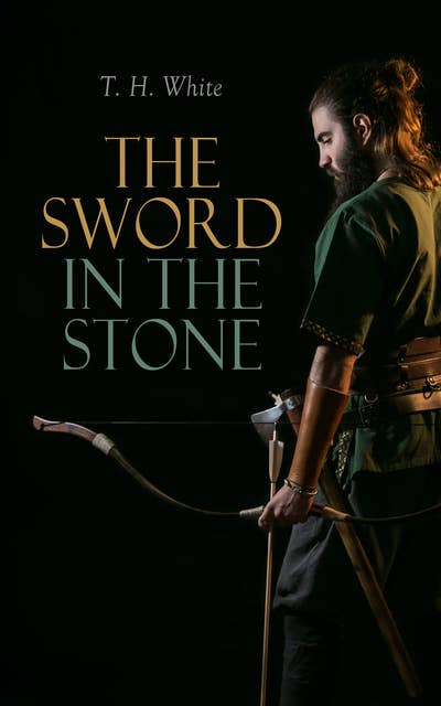 The Sword in the Stone: The Sword in the Stone