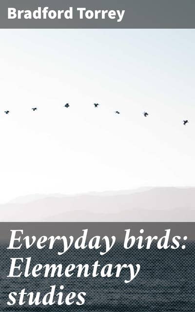 Everyday birds: Elementary studies