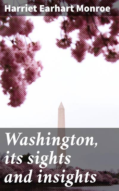 Washington, its sights and insights