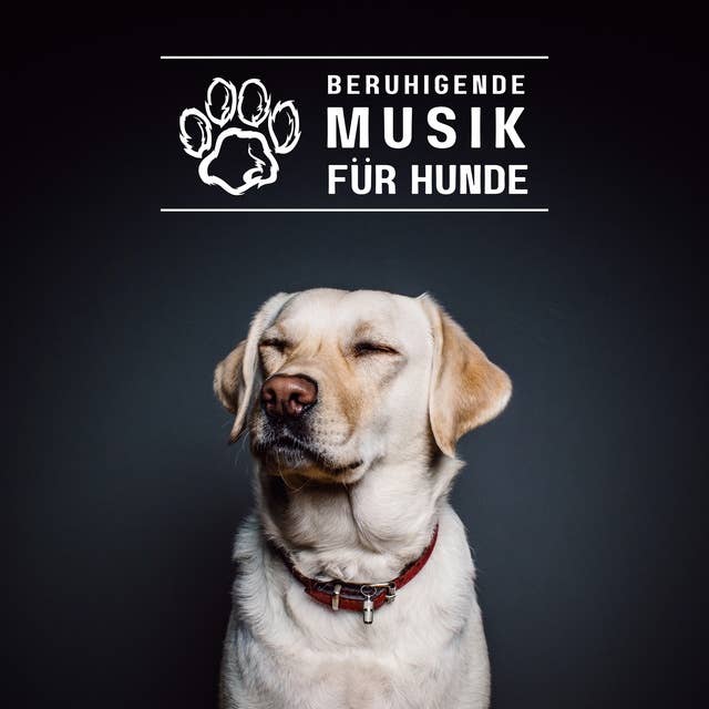 Beruhigende Musik für Hunde: Frequenzbasierte Entspannungsmusik für deinen Liebling